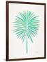 Seafoam Fan Palm-Cat Coquillette-Framed Art Print