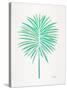 Seafoam Fan Palm-Cat Coquillette-Stretched Canvas