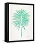 Seafoam Fan Palm-Cat Coquillette-Framed Stretched Canvas