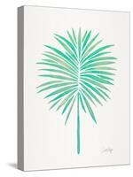 Seafoam Fan Palm-Cat Coquillette-Stretched Canvas