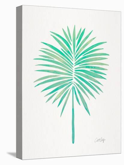 Seafoam Fan Palm-Cat Coquillette-Stretched Canvas