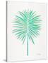 Seafoam Fan Palm-Cat Coquillette-Stretched Canvas