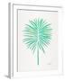 Seafoam Fan Palm-Cat Coquillette-Framed Art Print