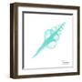 Seafoam Fusinus Colus-Albert Koetsier-Framed Art Print