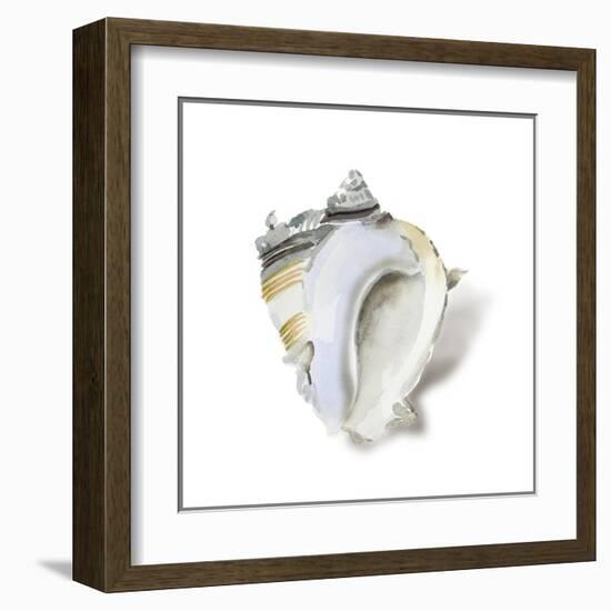 Seafoam Shell-Aimee Wilson-Framed Art Print