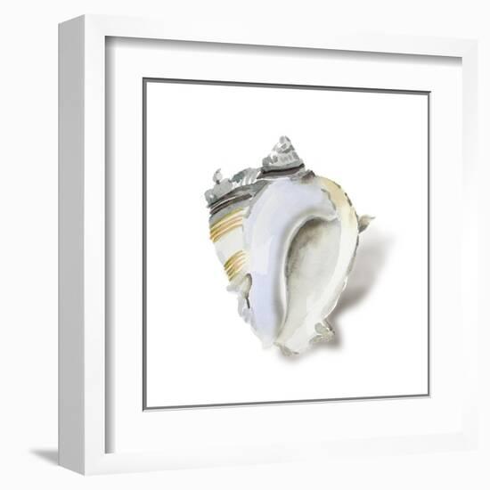 Seafoam Shell-Aimee Wilson-Framed Art Print