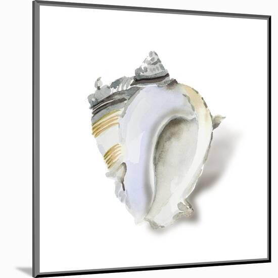 Seafoam Shell-Aimee Wilson-Mounted Art Print