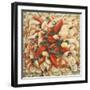 Seafood Extravaganza, 2010-Lincoln Seligman-Framed Giclee Print