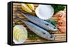 Seafood, Fish - Fresh Mackerel and Shrimps in Cuisine-Gorilla-Framed Stretched Canvas