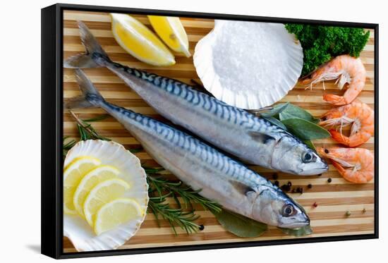 Seafood, Fish - Fresh Mackerel and Shrimps in Cuisine-Gorilla-Framed Stretched Canvas