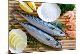 Seafood, Fish - Fresh Mackerel and Shrimps in Cuisine-Gorilla-Mounted Photographic Print