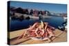 Seafood from Smogen Island-Macduff Everton-Stretched Canvas