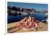 Seafood from Smogen Island-Macduff Everton-Framed Photographic Print