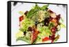 Seafood Salad in Krakow, Poland-redhorseredhouse-Framed Stretched Canvas
