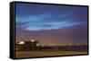 Seafood Skies-Chris Moyer-Framed Stretched Canvas