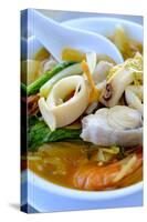 Seafood soup, Vietnamese food, Vietnam, Indochina, Southeast Asia, Asia-Alex Robinson-Stretched Canvas