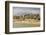 Seafront of Attractive Town with Lighthouse, Beach Huts, Southwold, Suffolk, England, UK-Rob Francis-Framed Photographic Print