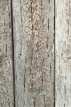 Wood Texture. Background Old Panels-seagames50-Framed Photographic Print