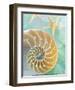 Seaglass 2-Alan Blaustein-Framed Art Print