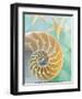 Seaglass 2-Alan Blaustein-Framed Art Print