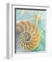 Seaglass 2-Alan Blaustein-Framed Art Print