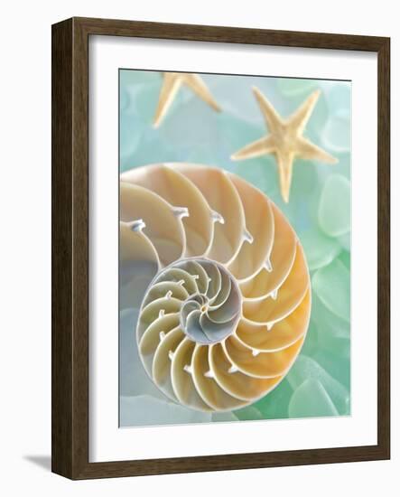 Seaglass 2-Alan Blaustein-Framed Photographic Print