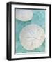 Seaglass 3-Alan Blaustein-Framed Art Print