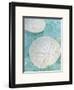 Seaglass 3-Alan Blaustein-Framed Art Print