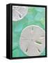 Seaglass 5-Alan Blaustein-Framed Stretched Canvas