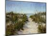 Seagrass and Sand-Barbara Chenault-Mounted Art Print