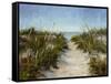 Seagrass and Sand-Barbara Chenault-Framed Stretched Canvas