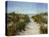 Seagrass and Sand-Barbara Chenault-Stretched Canvas