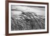 Seagrass Sway-Andrew Geiger-Framed Giclee Print