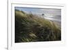 Seagrass-Andrew Geiger-Framed Giclee Print