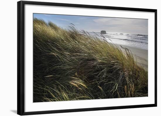 Seagrass-Andrew Geiger-Framed Giclee Print