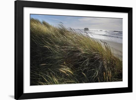 Seagrass-Andrew Geiger-Framed Giclee Print