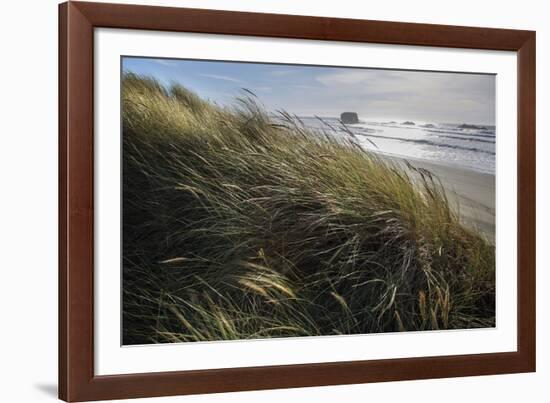 Seagrass-Andrew Geiger-Framed Giclee Print