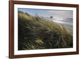 Seagrass-Andrew Geiger-Framed Giclee Print