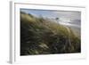 Seagrass-Andrew Geiger-Framed Art Print