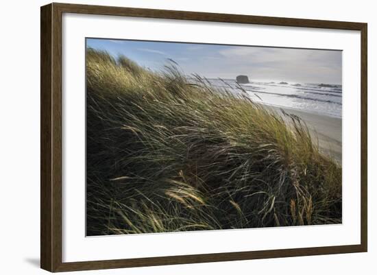 Seagrass-Andrew Geiger-Framed Art Print