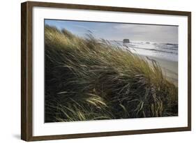 Seagrass-Andrew Geiger-Framed Art Print