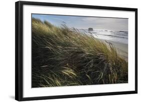 Seagrass-Andrew Geiger-Framed Art Print