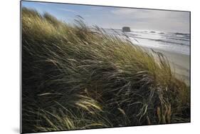 Seagrass-Andrew Geiger-Mounted Art Print