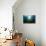 Seagrass-Reinhard Dirscherl-Mounted Photographic Print displayed on a wall
