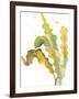 Seagrasses and Eelgrasses IV-Lanie Loreth-Framed Art Print