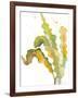 Seagrasses and Eelgrasses IV-Lanie Loreth-Framed Art Print