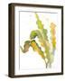 Seagrasses and Eelgrasses IV-Lanie Loreth-Framed Art Print