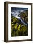 Seagrasses exposed at low tide, Isaac Hale Beach Park, Hawaii-Maresa Pryor-Framed Photographic Print