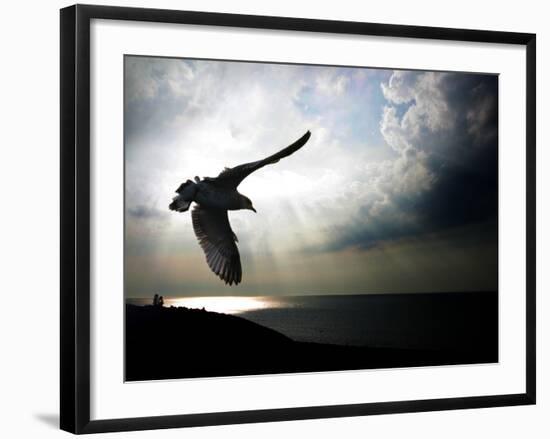 Seagul in flight over Lake Michigan beach, Indiana Dunes, Indiana, USA-Anna Miller-Framed Photographic Print