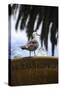 Seagul on Sausalito Fountain, Marin County, California-Anna Miller-Stretched Canvas